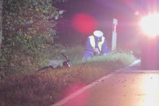 Tragedia w Magnuszewie. Kierowca wjechał w pieszych, trzy osoby nie żyją. Policja zatrzymała uciekiniera