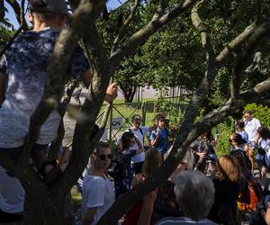 Za nami XII edycja Weekendu Architektury w Gdyni: fotoreportaż