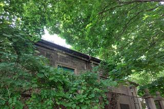  Willa z niezwykłą historią straszy w centrum miasta [GALERIA]