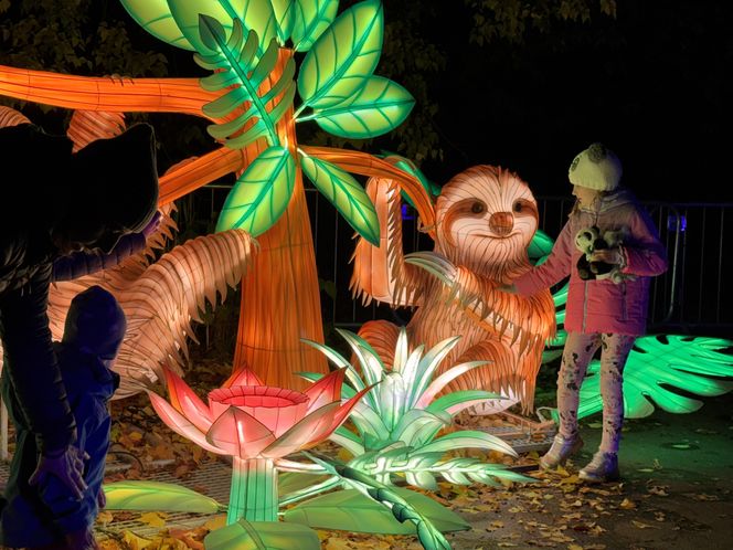 Garden of Lights we Wrocławiu