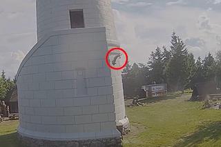 Koszmar na Wielkiej Sowie. Pies spadł z wieży widokowej i zginął na miejscu. Apel do właścicieli zwierząt 