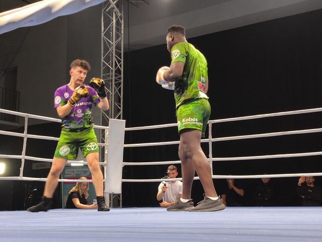 Walczyli dla Krystiana. Charytatywna gala boksu Hero Boxing Fighters 3 „Jungle”