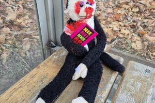 Na olsztyńskich ulicach pojawiły się „poobijane” misie. O co chodzi?