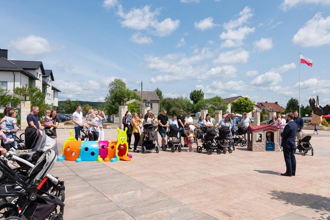 Gmina Miedziana Góra i okolice