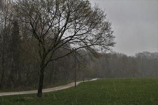 Do Polski napływa powietrze polarne morskie. Tutaj spadnie deszcz ze śniegiem. Wiemy, gdzie będzie najgorzej [Prognoza pogody IMGW na 25.03.2022]