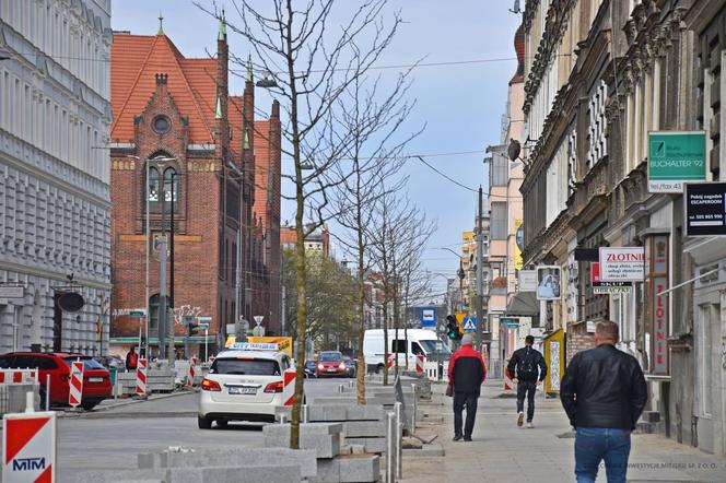 Nowe nasadzenia na alei Wojska Polskiego