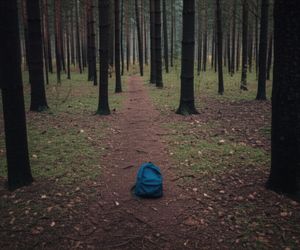 48 hours challenge przeraża rodziców. Niektórzy są w szoku, do czego zdolne są ich dzieci dla atencji w Internecie