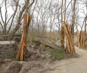 W Warszawie powstaje drugie lapidarium. Miasto nie usunie betonowych odpadów. To artefakty