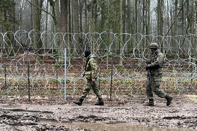 Grupa 100 agresywnych migrantów zaatakowała granicę w okolicach Białowieży