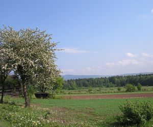 Klonów - urokliwa wieś w sercu Puszczy Świętokrzyskiej