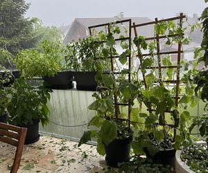 Balkon po burzy