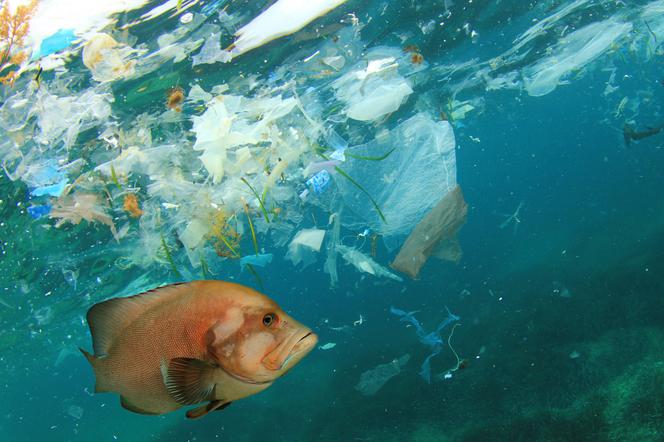 F**k plastiki. Śmieci w oceanie