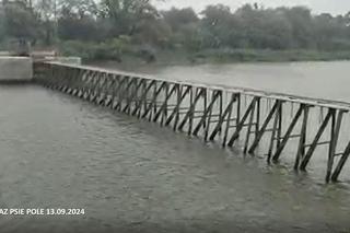 Fala opadów we Wrocławiu. Widać zwiększony przepływ wody 