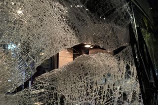 Wiązowna. Zderzenie autobusu z sarną 