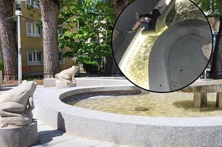 Wpakowali się do fontanny z... wersalką. Sprawę zgłoszono policji, filmik obiega sieć