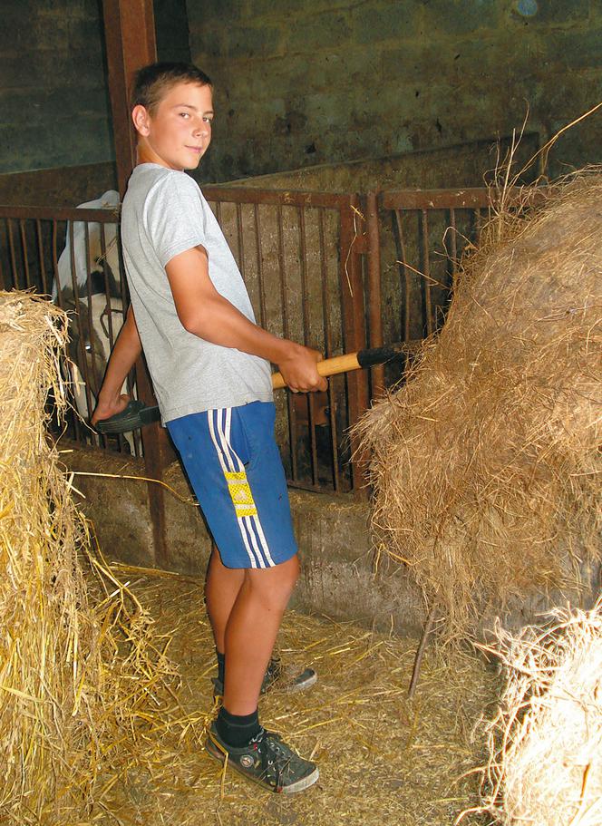 Nie jedziemy na wakacje bo pasiemy krowy