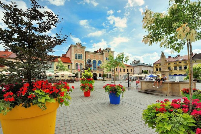 Żywiec