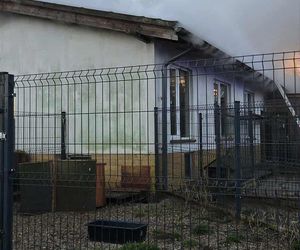 Ogień zmienił schronisko w zgliszcza! Straty są ogromne. „Jesteśmy zdruzgotani”