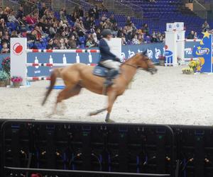 Cavaliada 2023 w Poznaniu. Tak prezentowali się zawodnicy