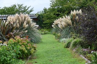 rośliny w boho ogrodzie