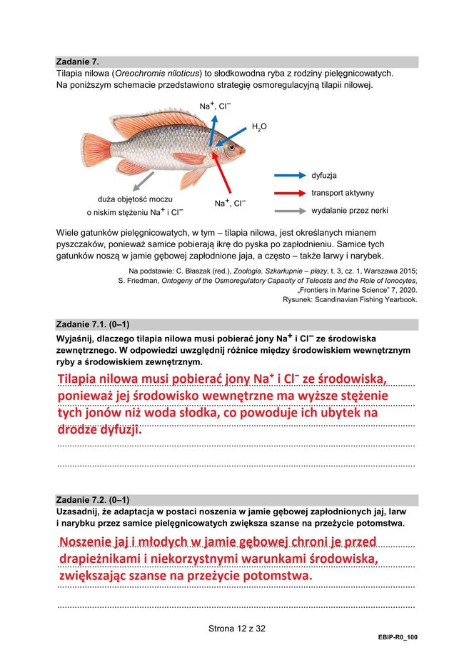 Matura 2025: biologia 9.05.2025. Arkusze CKE i odpowiedzi [Formuła 2015]