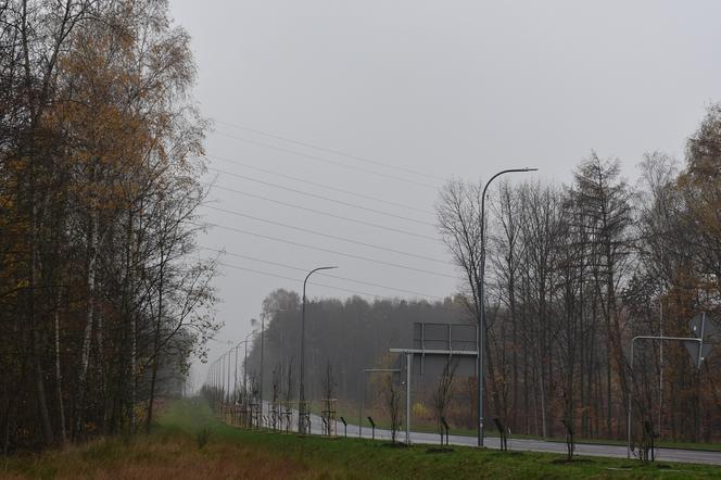 Aleja Polskiego Dziedzictwa Śląska w Katowicach