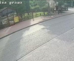 Wołomin. Napadł na seniorkę w biały dzień. 43-latek zatrzymany przez kryminalnych