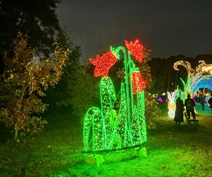 Otwarcie Lumina Parku w Poznaniu. Tegoroczne świecące miasteczko robi fenomenalne wrażenie!