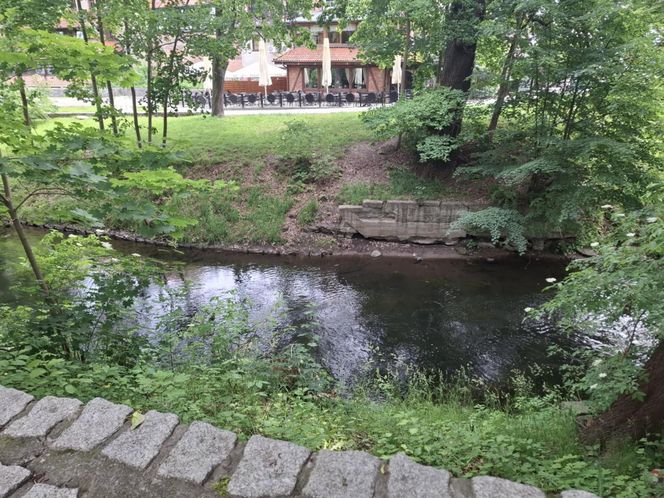 W tym mieście poczujesz się jak w Wenecji. Włoski klimat na północy Polski