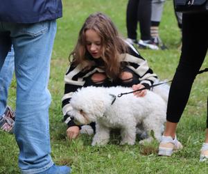 IX Piknik Przyjaciół Schroniska w Toruniu