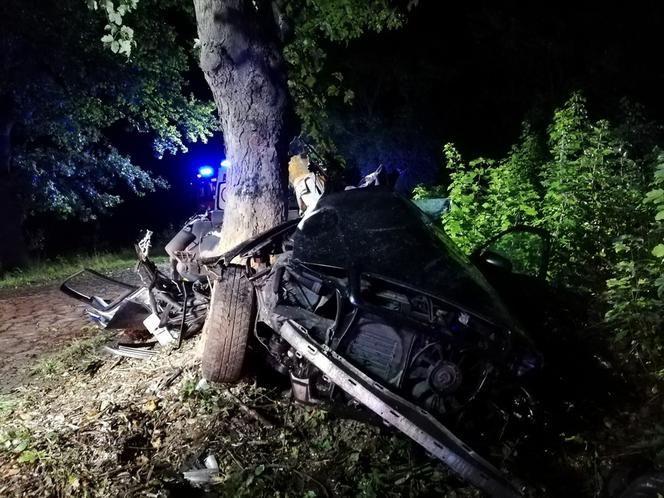 Tragiczny wypadek pod Braniewem. Audi wbiło się w drzewo. Nie żyje 19-latek [ZDJĘCIA]