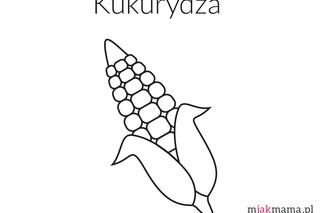 Kukurydza - kolorowanka, pobierz kukurydzę do kolorowania