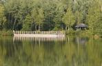 Park Leśny Tetmajera w Bronowicach