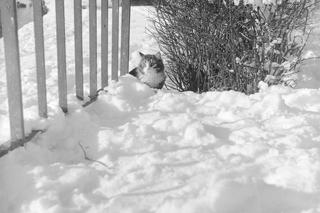 Sprawdź, jakie zimy były kiedyś na Dolnym Śląsku. Takich śnieżyc dzisiaj już nie doświadczymy