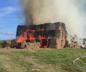 Ogromny pożar pod Braniewem. 1000 balotów słomy w ogniu [ZDJĘCIA]