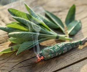 To zioło działa cuda. Oto 5 korzyści płynących z palenia szałwii. Zrób to, a szybko poczujesz efekty