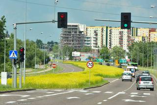 Białystok. Pierwsze łąki już kwitną. W 2020 roku pojawiły się w nowych miejscach