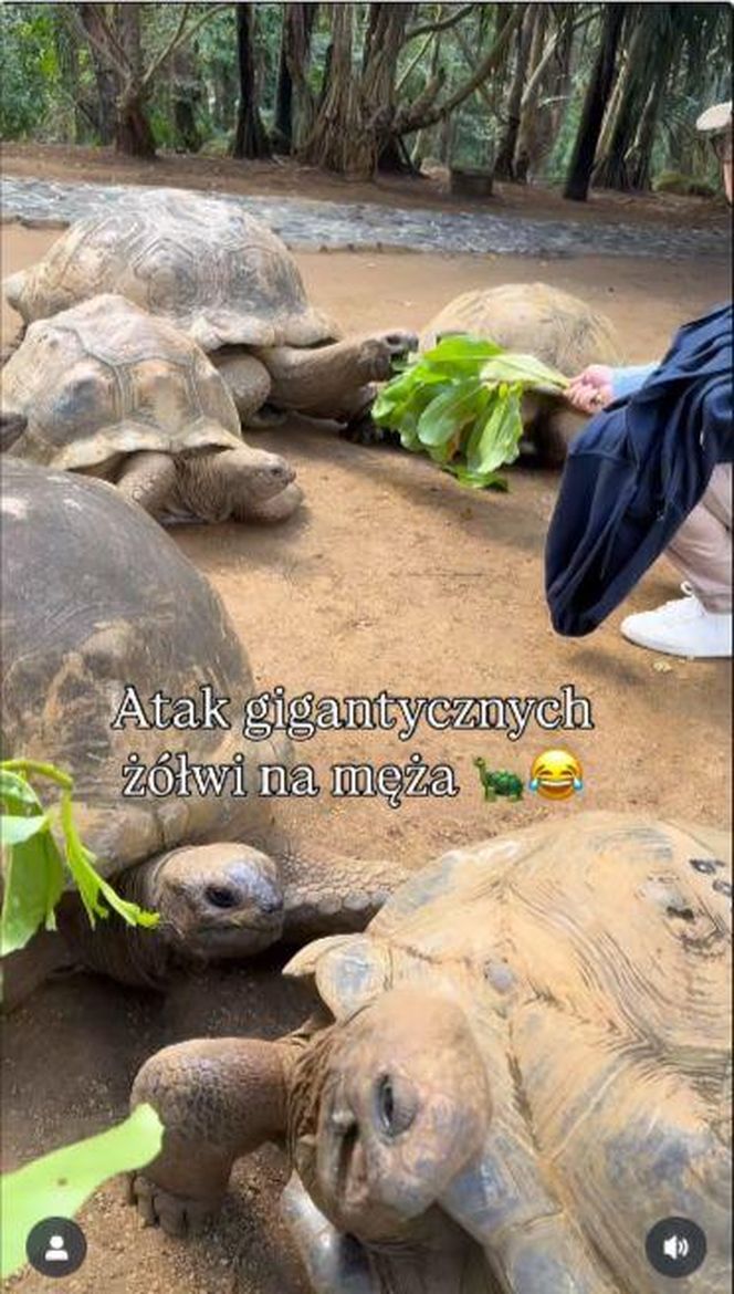 Maciej Orłoś, Paulina Orłoś