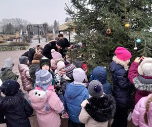 Na rynku w Mordach stanęła choinka