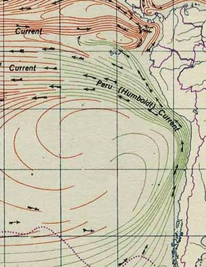 Humboldt_current s
