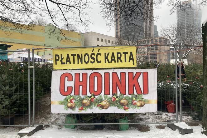 Choinki w Warszawie 2023
