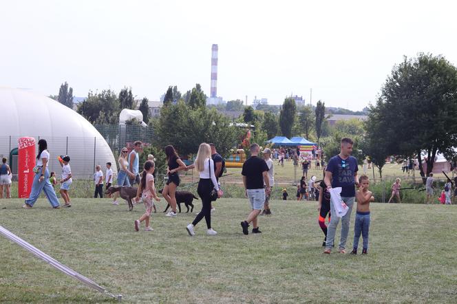 Tak wyglądał piknik rodzinny w Lublinie na koniec wakacji! Zobacz zdjęcia