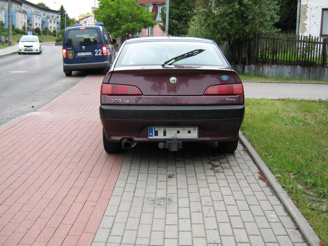 Typowe przykłady nieprawidłowego parkowania to łamanie zakazów wynikających ze znaków drogowych, ale także zastawianie chodników i skrzyżowań oraz niszczenie zieleńców.