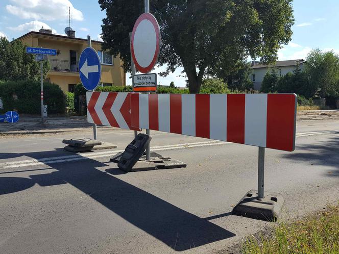 Były starsze od niejednego mieszkańca Leszna.  Z ul. Szybowników znikają dorodne lipy