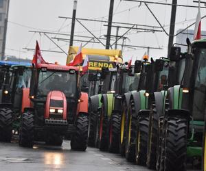 Protest rolników 2024. Ciągniki rolników blokują wjazdy do Poznania