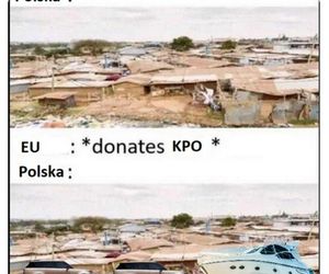 Memy z afery KPO 