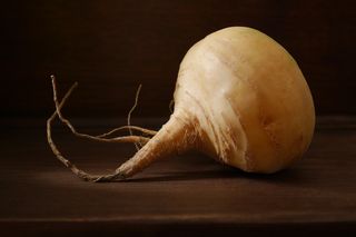 Rzepa – zapomniane superfood. Właściwości i wartości odżywcze, które zaskakują