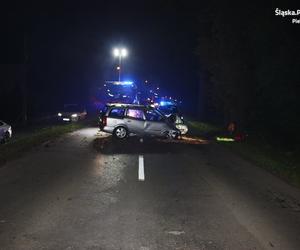 Piekary Śląskie: Kierowca zderzył się z drzewem. Trafił do szpitala