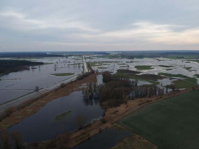 Strażacy umocnili wał przeciwpowodziowy 