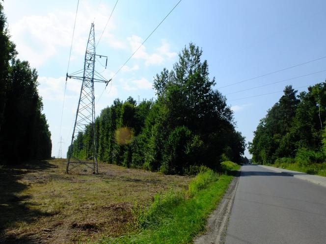 Zabójstwo kobiety we wsi pod Lublinem. Ciało znalazł syn